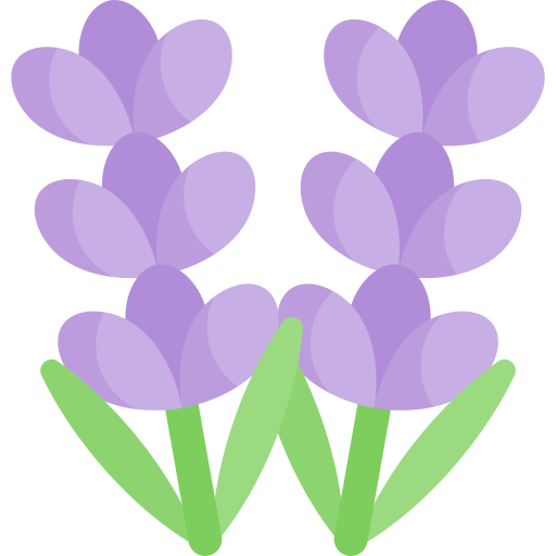 Lavanda